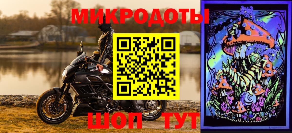 Дальнегорск  Галлюциногенные грибы Cubensis  Вход с VPN 